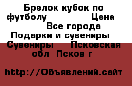 Брелок кубок по футболу Fifa 2018 › Цена ­ 399 - Все города Подарки и сувениры » Сувениры   . Псковская обл.,Псков г.